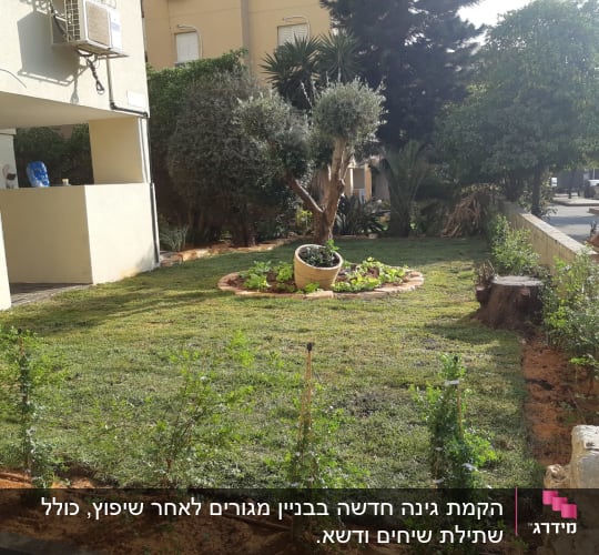 גינה עם דשא, עציץ עגול ועץ קטן במרכז